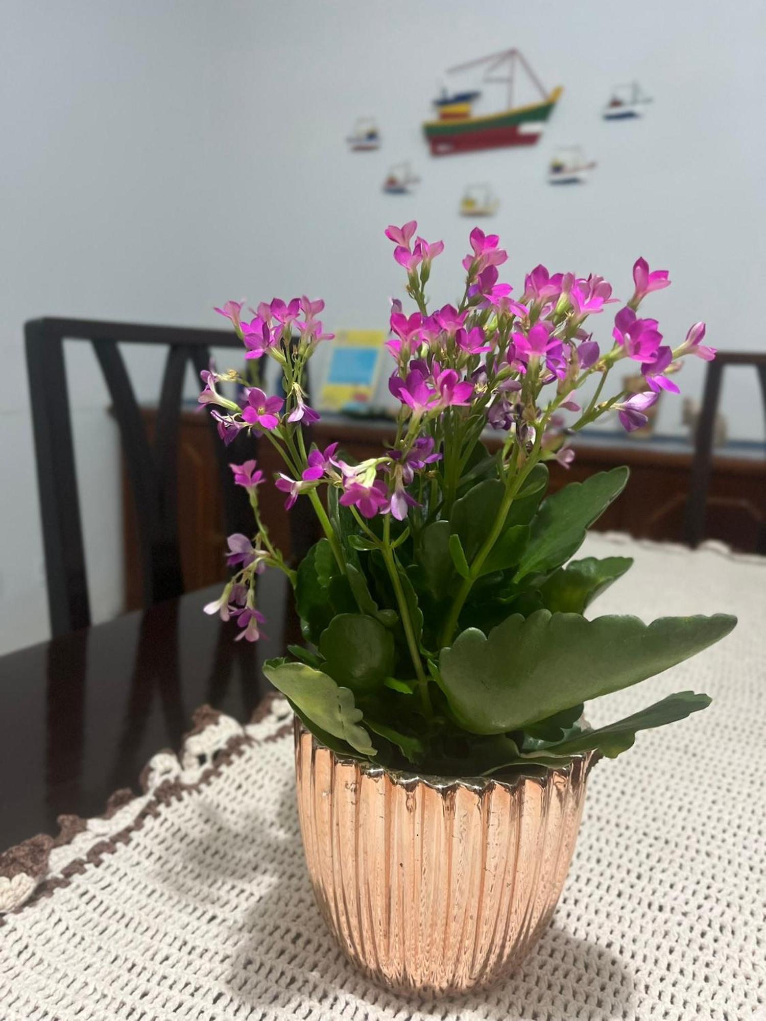 Casa De Praia Caraguatatuba Massaguacu Eksteriør billede